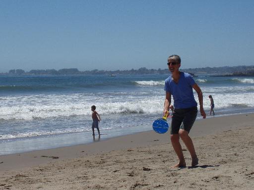 P6040077 Robin playing paddle ball