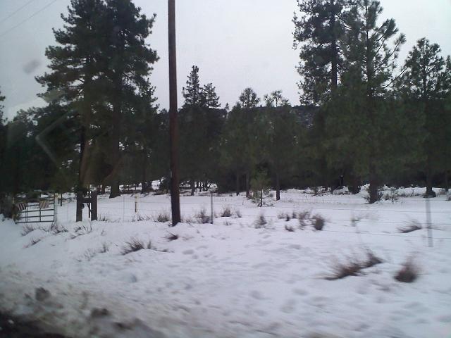 0215091542.jpg - Snow along the road