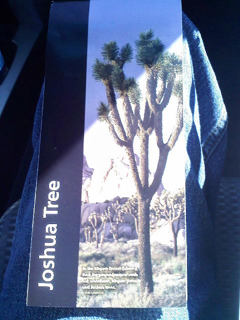 0218091315.jpg - The brochure for Joshua Tree National Park