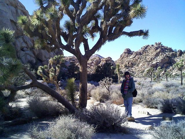 0218091342.jpg - Petra poses by a Joshua Tree