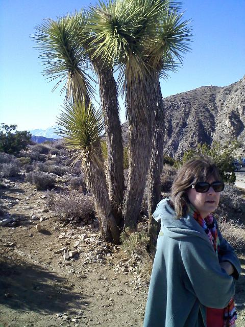 0218091440.jpg - Petra and another Joshua Tree