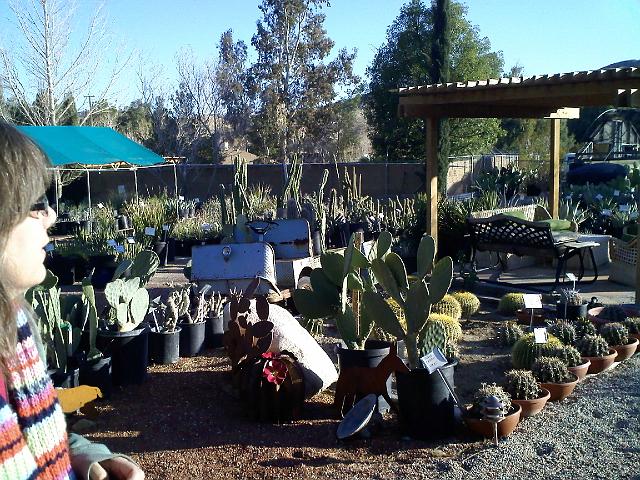 0218091612.jpg - We stopped at a cactus shop