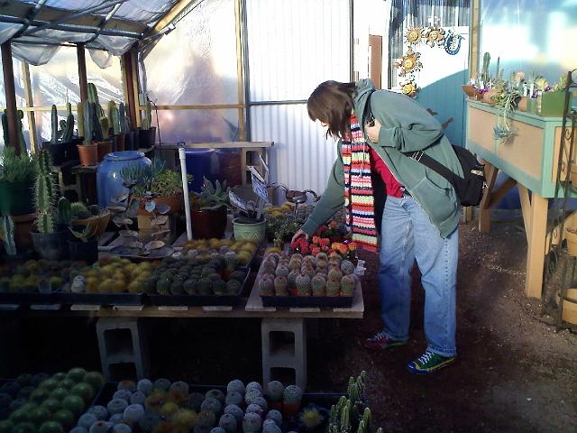 0218091615.jpg - Picking cacti