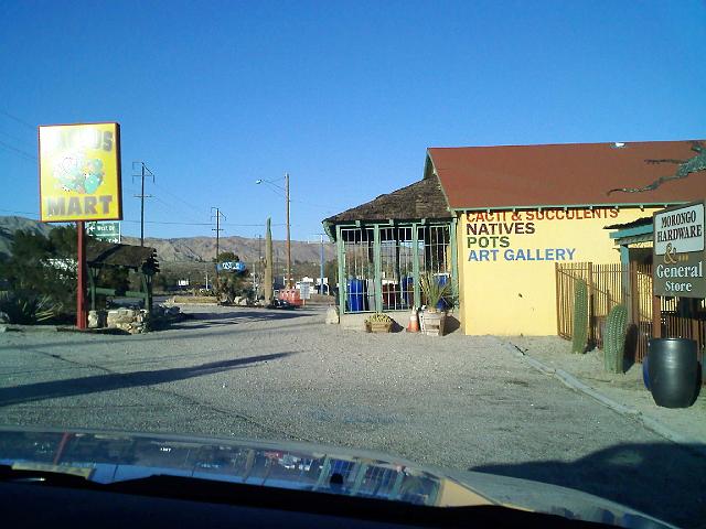 0218091623.jpg - Cactus Mart