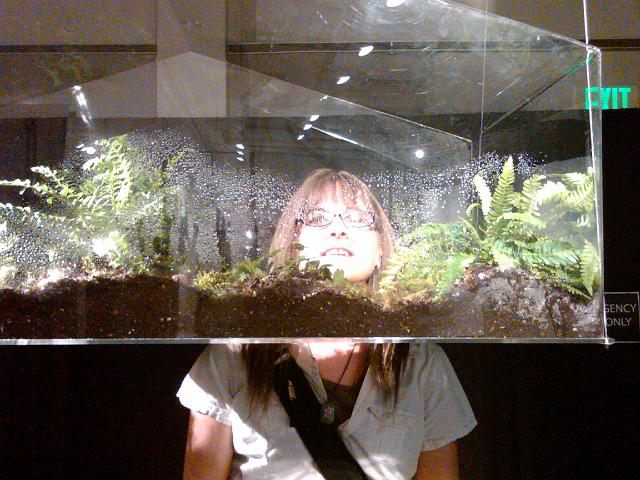 IMG00171-20090904-1527.jpg - Petra's head in the terrarium