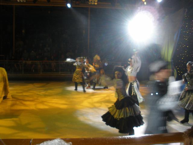 P2080065.JPG - More of the ice show