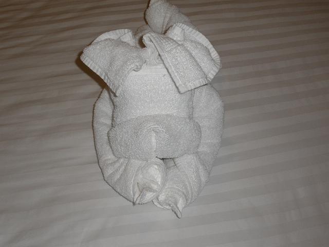 P2090133.JPG - Towel animals are fun!