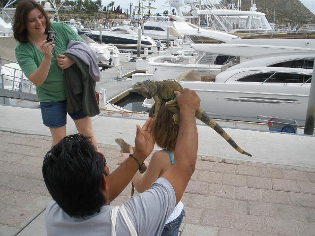 P2090163.JPG - Big lizard