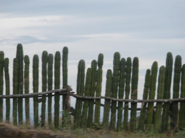 P2100293.JPG - An unusuall fence