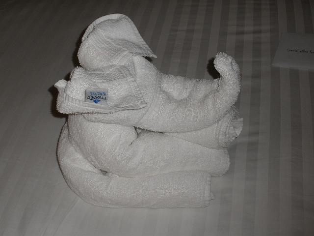 P2110460.JPG - Another towel animal