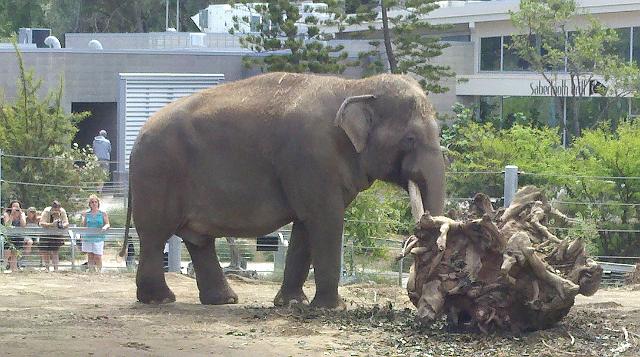 2011-04-26_11-22-03_763.jpg - Zoo