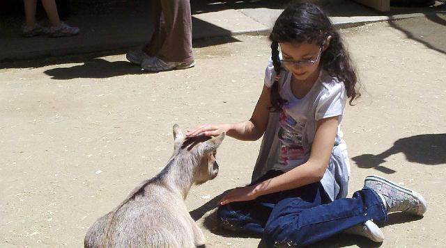 2011-04-26_13-06-49_965.jpg - Zoo