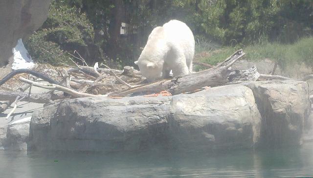 2011-04-26_13-44-38_15.jpg - Zoo