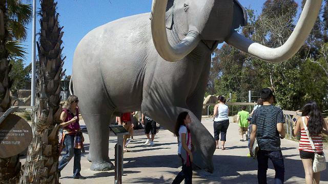 2011-04-26_15-20-27_217.jpg - A mammoth mammoth