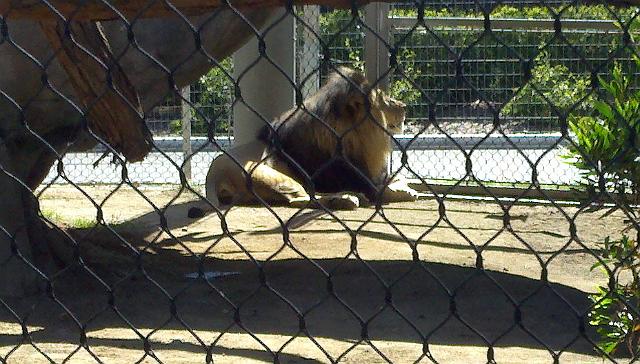 2011-04-26_15-23-26_264.jpg - Zoo