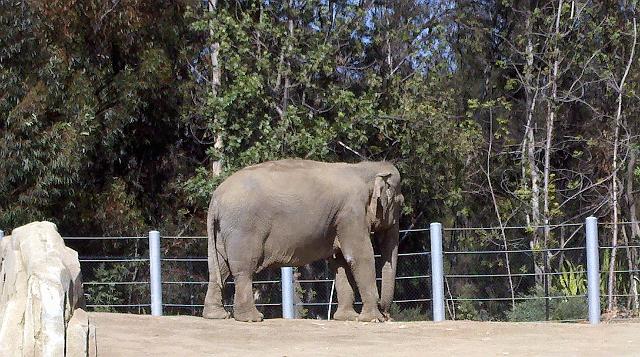 2011-04-26_15-34-54_933.jpg - Zoo