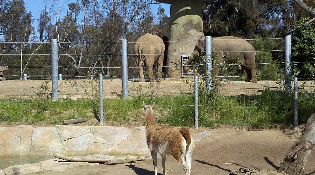 2011-04-26_15-40-06_306.jpg - Zoo