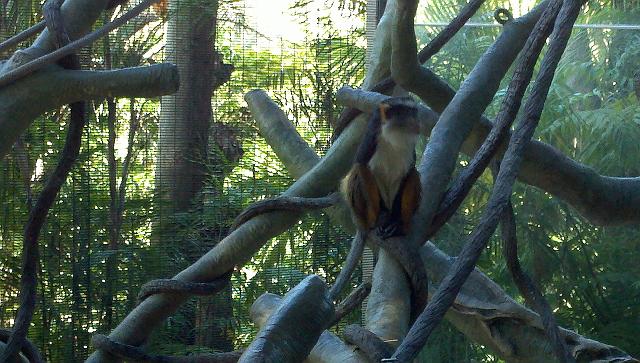 2011-04-26_16-47-04_215.jpg - Zoo