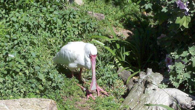 2011-04-27_10-48-10_447.jpg - Safari Park