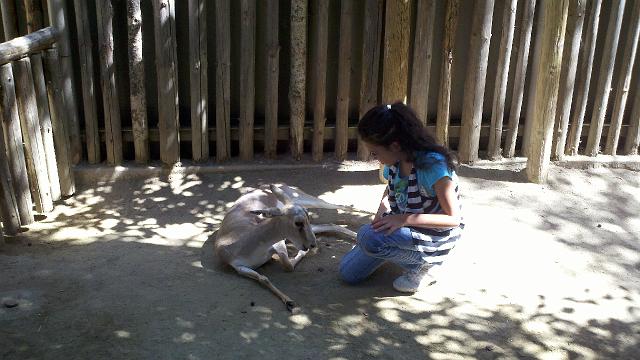 2011-04-27_14-51-01_780.jpg - Safari Park