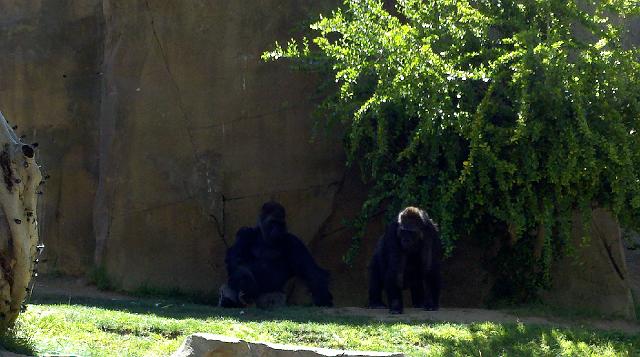 2011-04-27_15-23-42_943.jpg - Safari Park