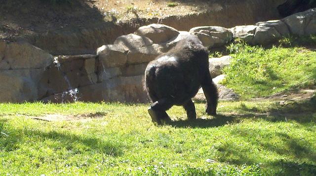 2011-04-27_15-24-40_350.jpg - Safari Park