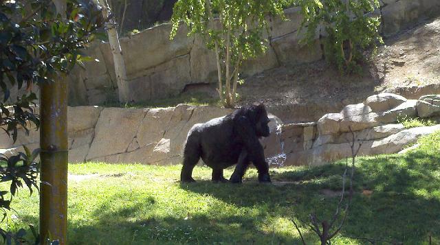 2011-04-27_15-25-04_169.jpg - Safari Park