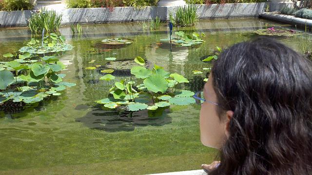 2011-04-29_10-54-00_88.jpg - Balboa Park