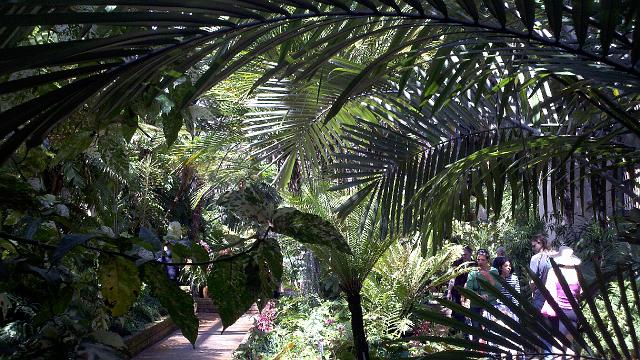 2011-04-29_10-58-18_661.jpg - Balboa Park - botanical garden