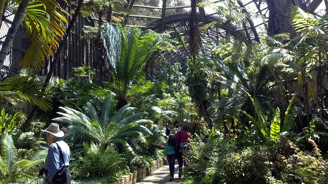 2011-04-29_11-09-05_332.jpg - Balboa Park - botanical garden