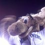 The moose is loose - the mascot