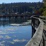 Bainbridge Island